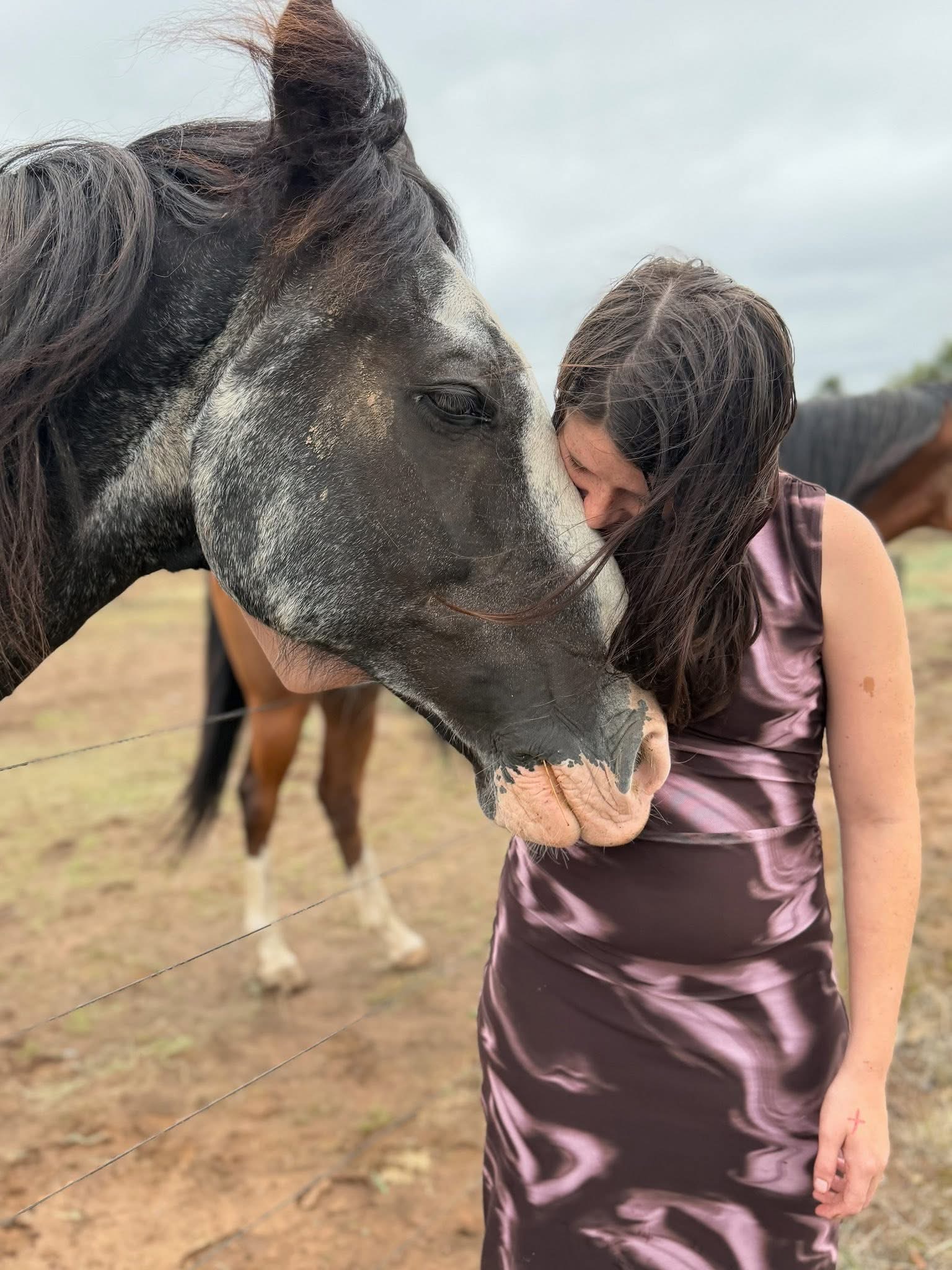 A calm moment connecting with a horse